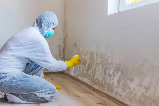 Hvac And Air Duct Mold Remediation inspection of HVAC system in Roanoke